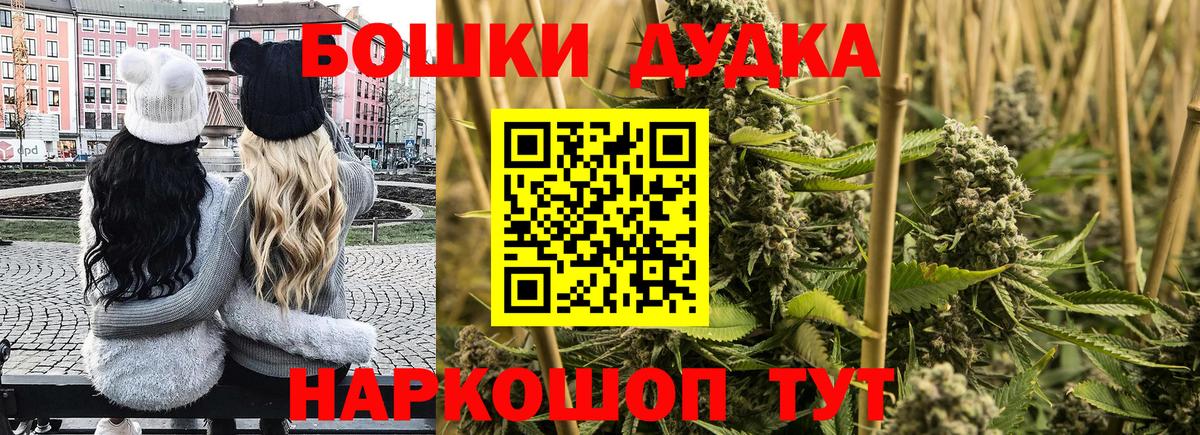Бошки Шишки гибрид Лянтор